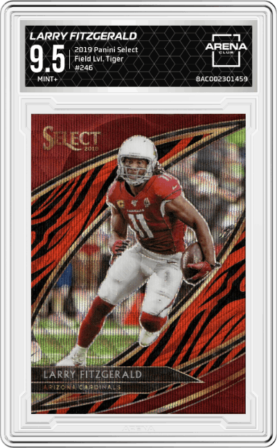 Larry Fitzgerald