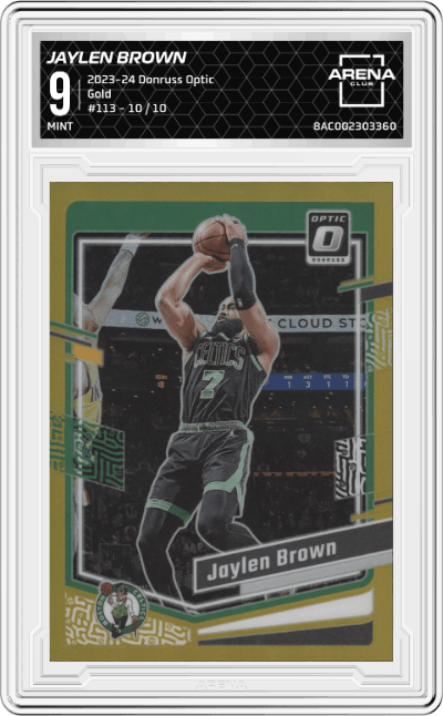 Jaylen Brown