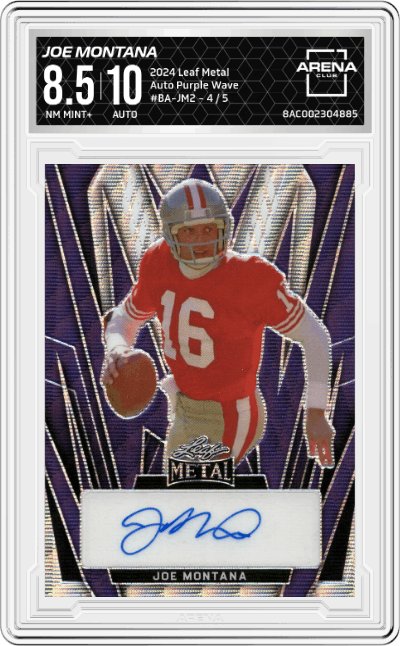 Joe Montana