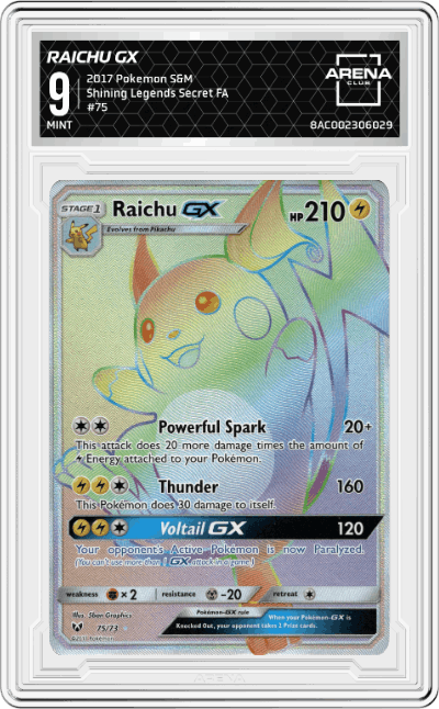 Raichu GX