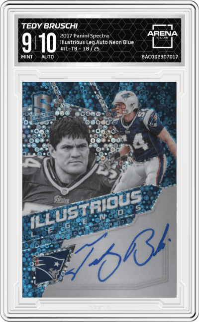 Tedy Bruschi