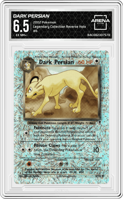 Dark Persian