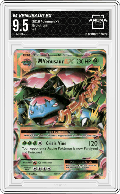 M Venusaur EX