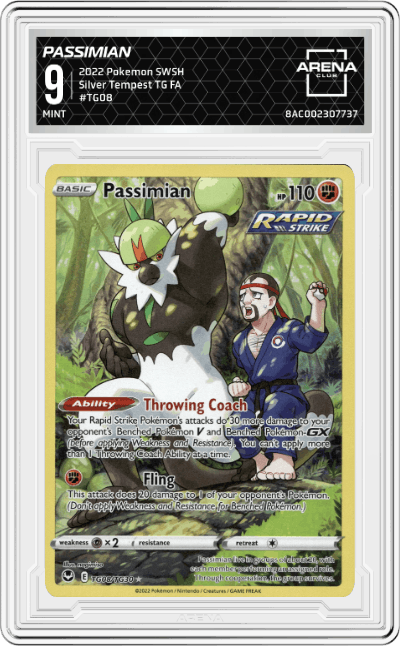 Passimian