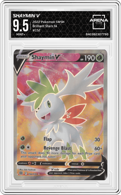 Shaymin V