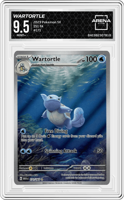 Wartortle