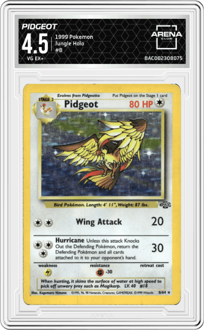 Pidgeot