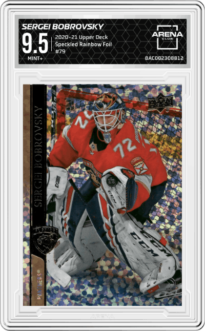 Sergei Bobrovsky