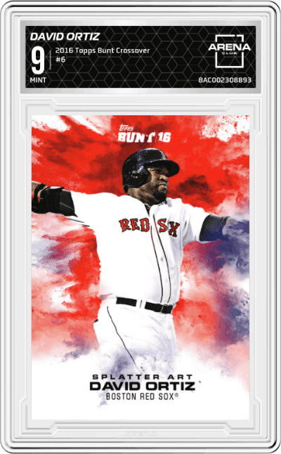 David Ortiz