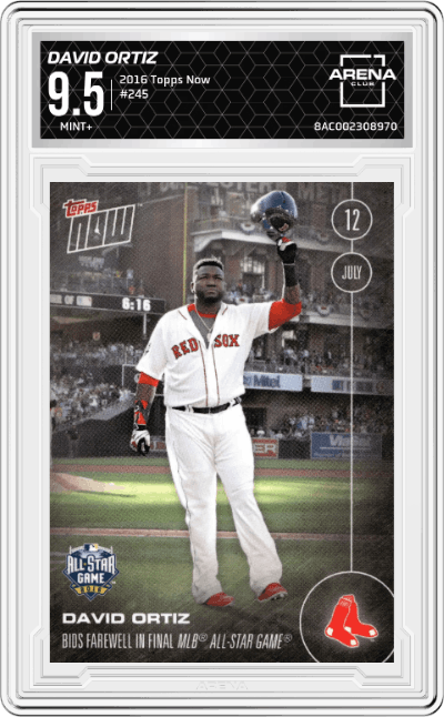 David Ortiz