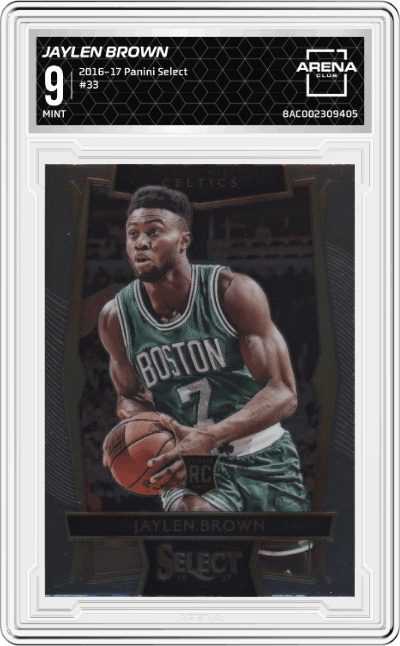 Jaylen Brown