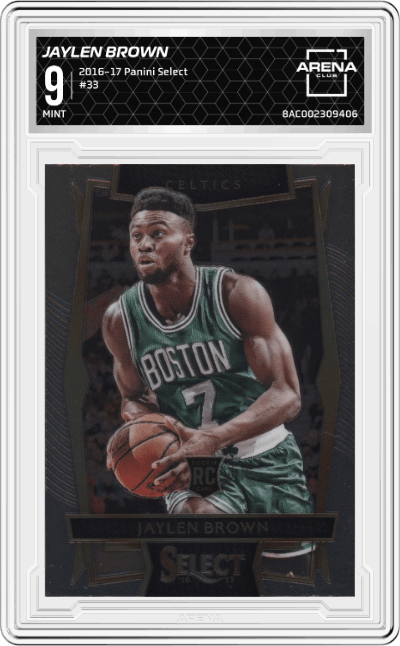 Jaylen Brown