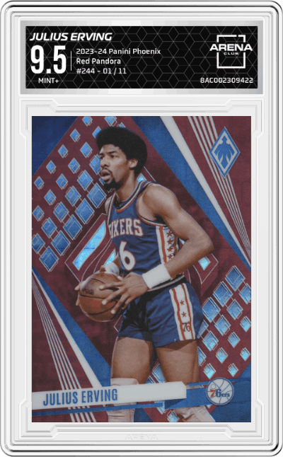 Julius Erving