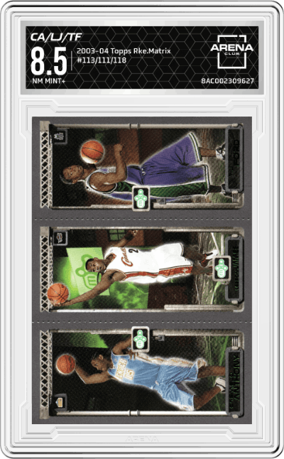 Carmelo Anthony/LeBron James/T.J. Ford