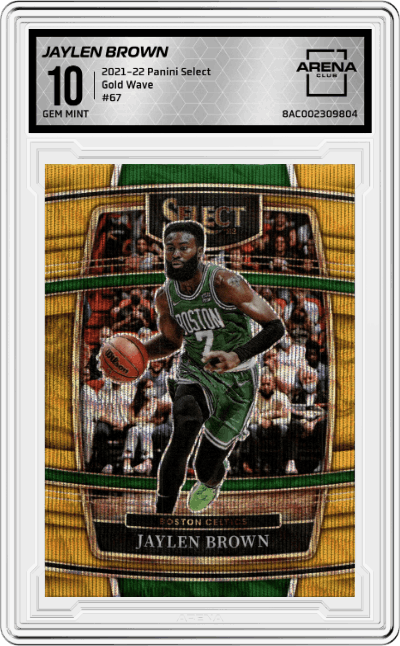 Jaylen Brown