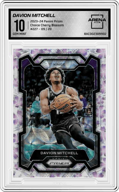 Davion Mitchell