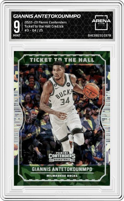 Giannis Antetokounmpo