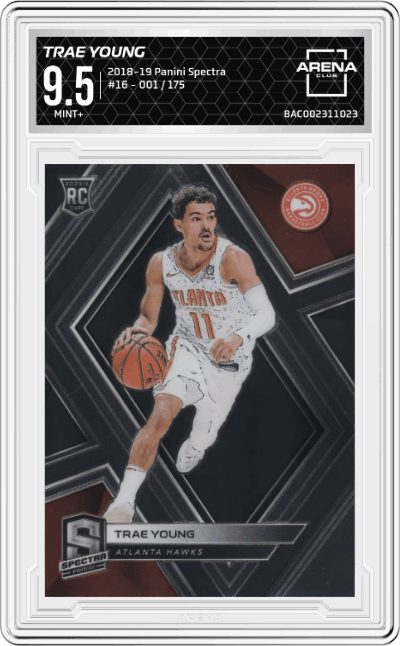 Trae Young