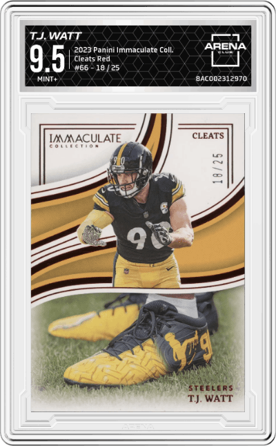 T.J. Watt