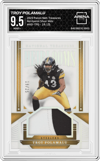 Troy Polamalu