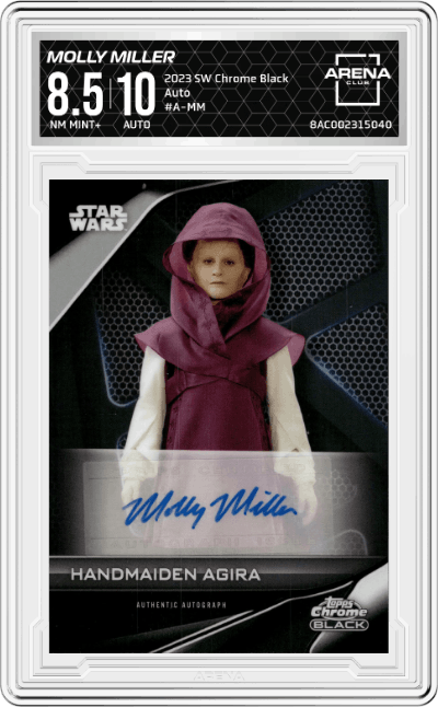 Molly Miller as Handmaiden Agira