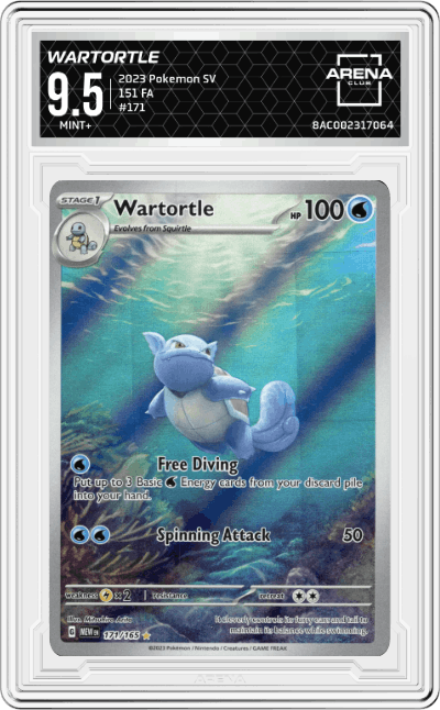 Wartortle