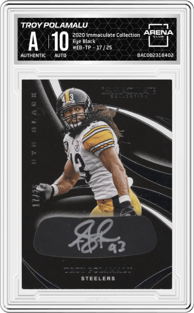 Troy Polamalu