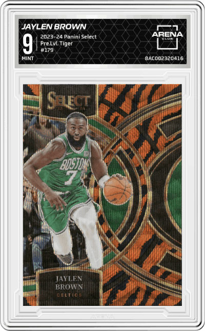 Jaylen Brown
