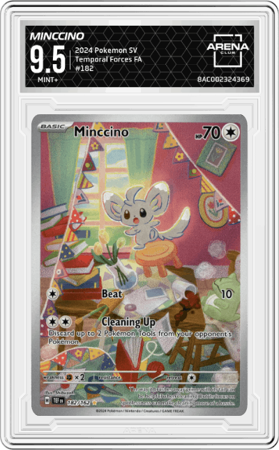 Minccino