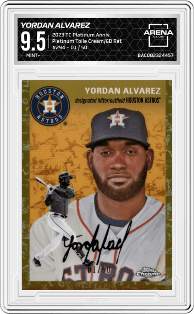 Yordan Alvarez