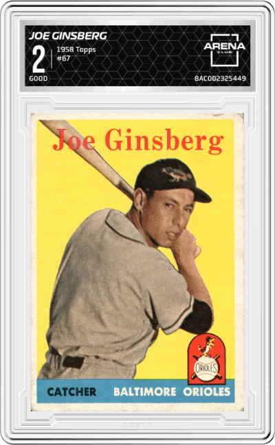 Joe Ginsberg