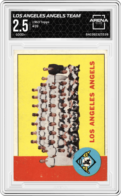 Los Angeles Angels Team