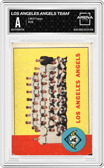 Los Angeles Angels Team