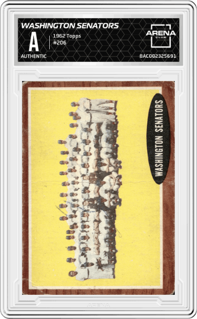 Washington Senators Team