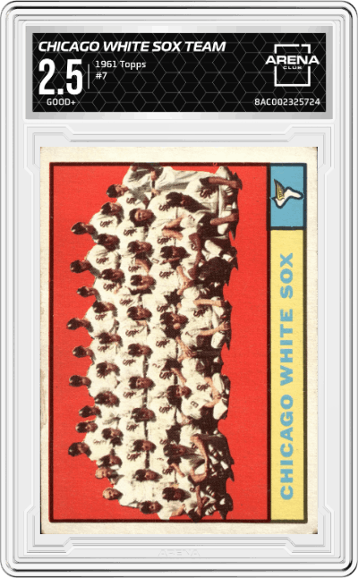 Chicago White Sox Team