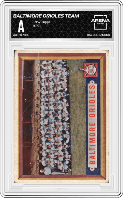 Baltimore Orioles Team