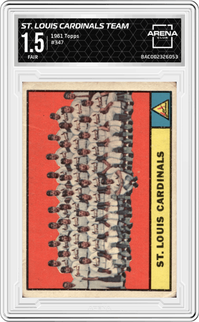 St. Louis Cardinals Team