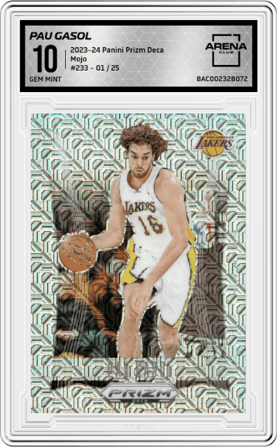 Pau Gasol