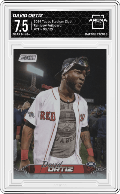David Ortiz