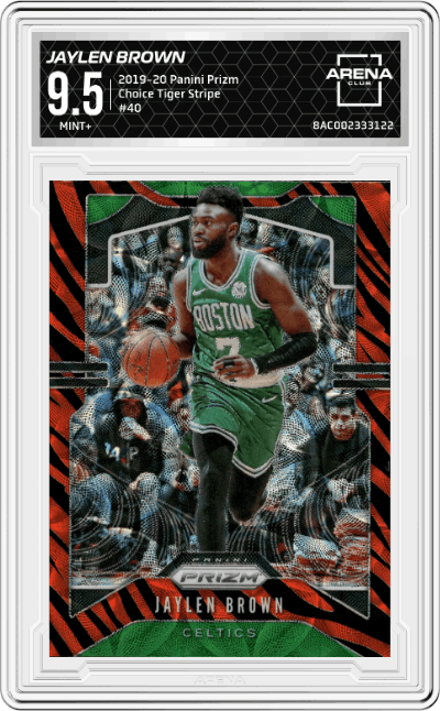 Jaylen Brown