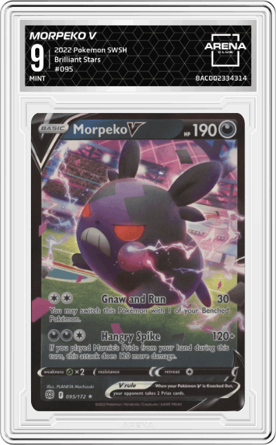 Morpeko V