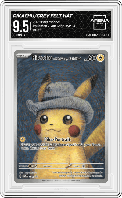 Pikachu with Grey Felt Hat