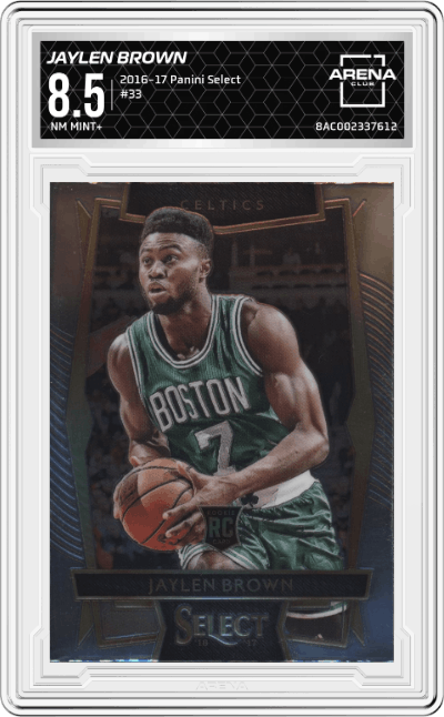 Jaylen Brown