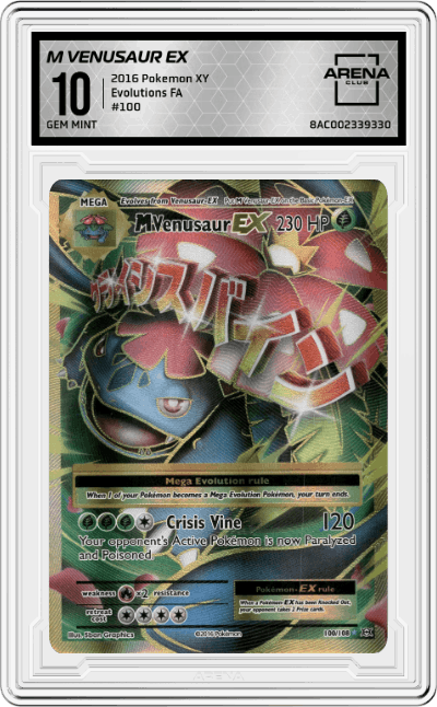 M Venusaur EX