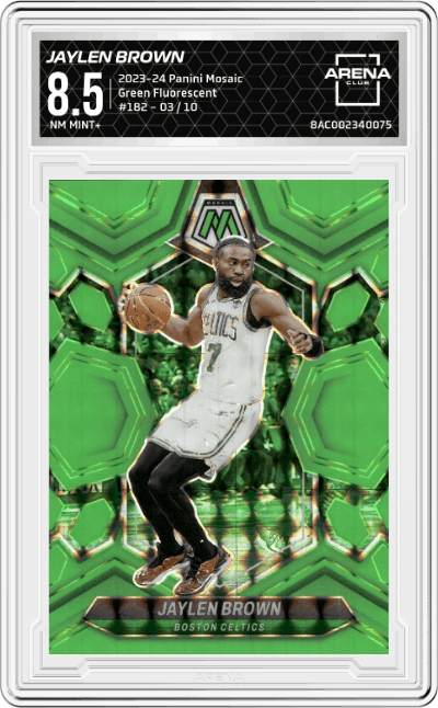 Jaylen Brown