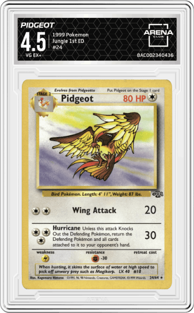 Pidgeot