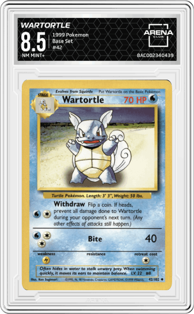 Wartortle
