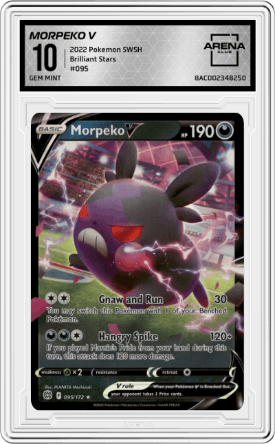 Morpeko V