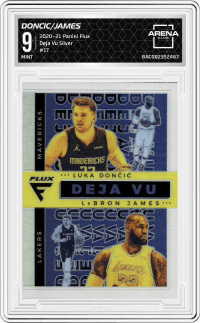 LeBron James/Luka Doncic