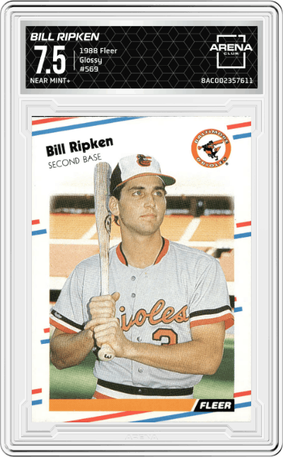 Bill Ripken